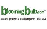 Blooming Bulb
