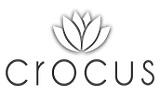 Shop Crocus