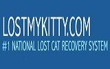 Lost My Kitty