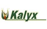 Kalyx
