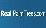 Real Palm Trees