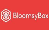 BloomsyBox